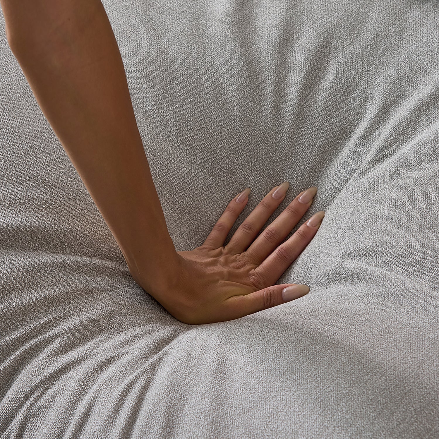 הדום- ספת הנוצות