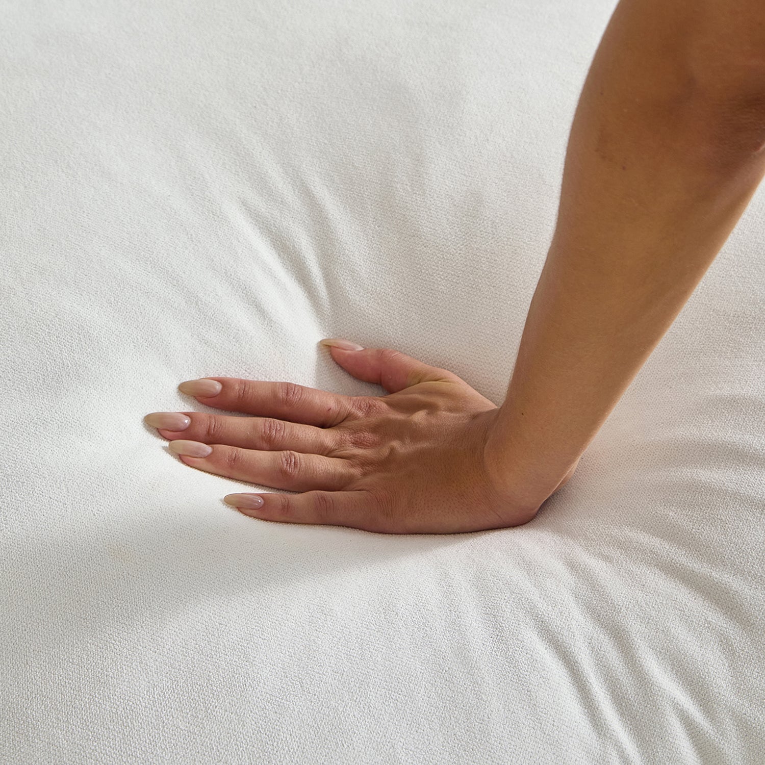 הדום- ספת הנוצות